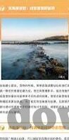 91麻豆大神-91麻豆大神，网络文化的另类视角与影响