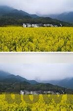 91麻豆精品一区二区三区-成人内容与网络文化，界限与反思