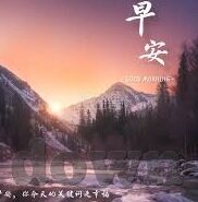 91麻豆免费在线观看-麻豆，夜幕下的微光