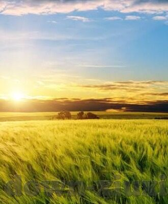 超碰97成人视频-超碰97成人视频，网络时代下的信息误区与道德边界