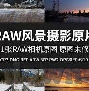 大象传媒app官网是多少-探索大象传媒APP，数字时代的文化桥梁