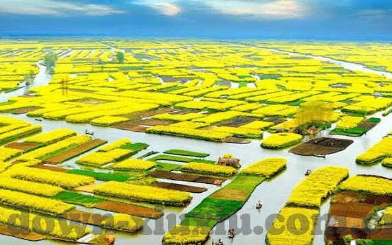 麻豆视传媒app 官方免费下载-麻豆视传媒app，开启娱乐新视界