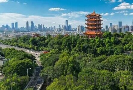 全球最大的成人视频网站-全球网络视界的另一面，全球最大成人视频网站的背后