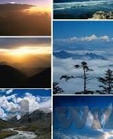 糖心app在哪里下载-简单步骤指导——如何在各大平台找到糖心app的下载途径